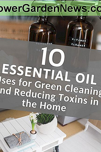 家庭でのグリーンクリーニングと毒素削減のための10種類のエッセンシャルオイルの使用