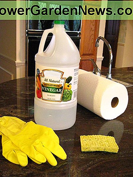 L'aceto, un ottimo aiuto domestico quando si tratta di pulizia.