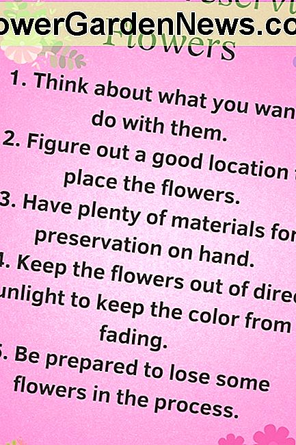 バラや他の種類の花を保存する8つの方法: プロセス全体を制御