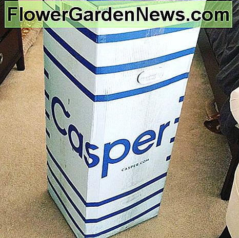 Il mio Casper è arrivato in una robusta scatola di cartone - sorprendentemente piccola per un materasso!