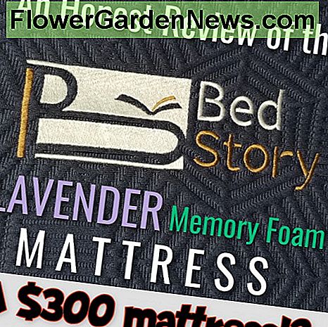 Recensione: Come si sente davvero il materasso BedStory?: recensione