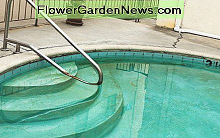 pool turned green after adding chlorine